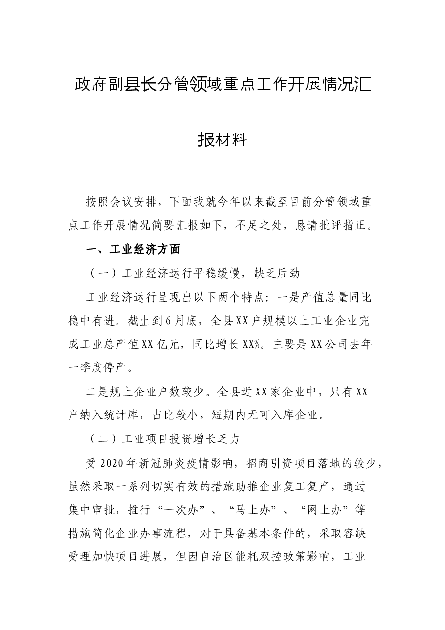 政府副县长分管领域重点工作开展情况汇报材料.docx,第1页预览