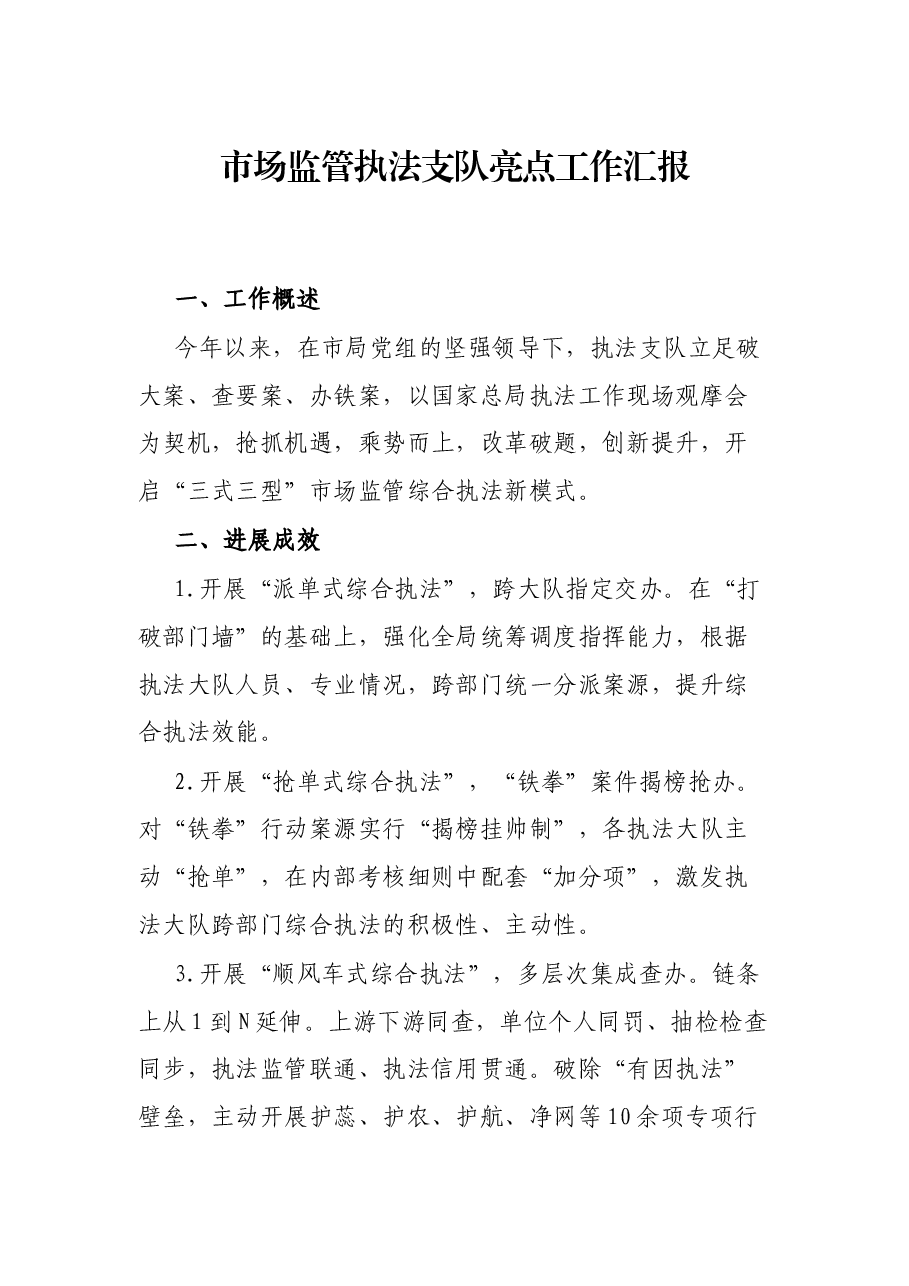 市场监管执法支队亮点工作汇报.docx,第1页预览