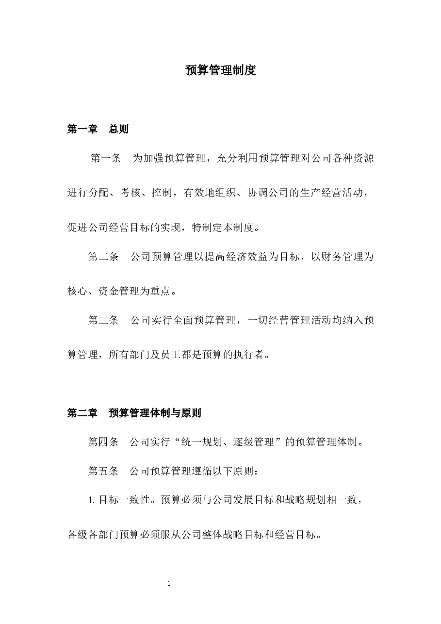 预算管理制度.docx,第1页预览