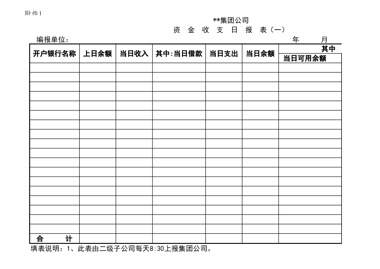参考工具:子公司资金报表格式.xls,第1页预览