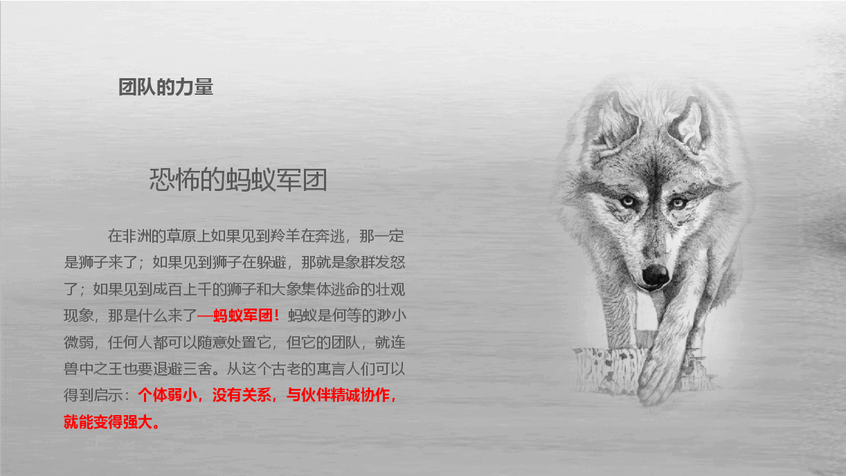 如何管理好一支团队.pptx，第2页预览