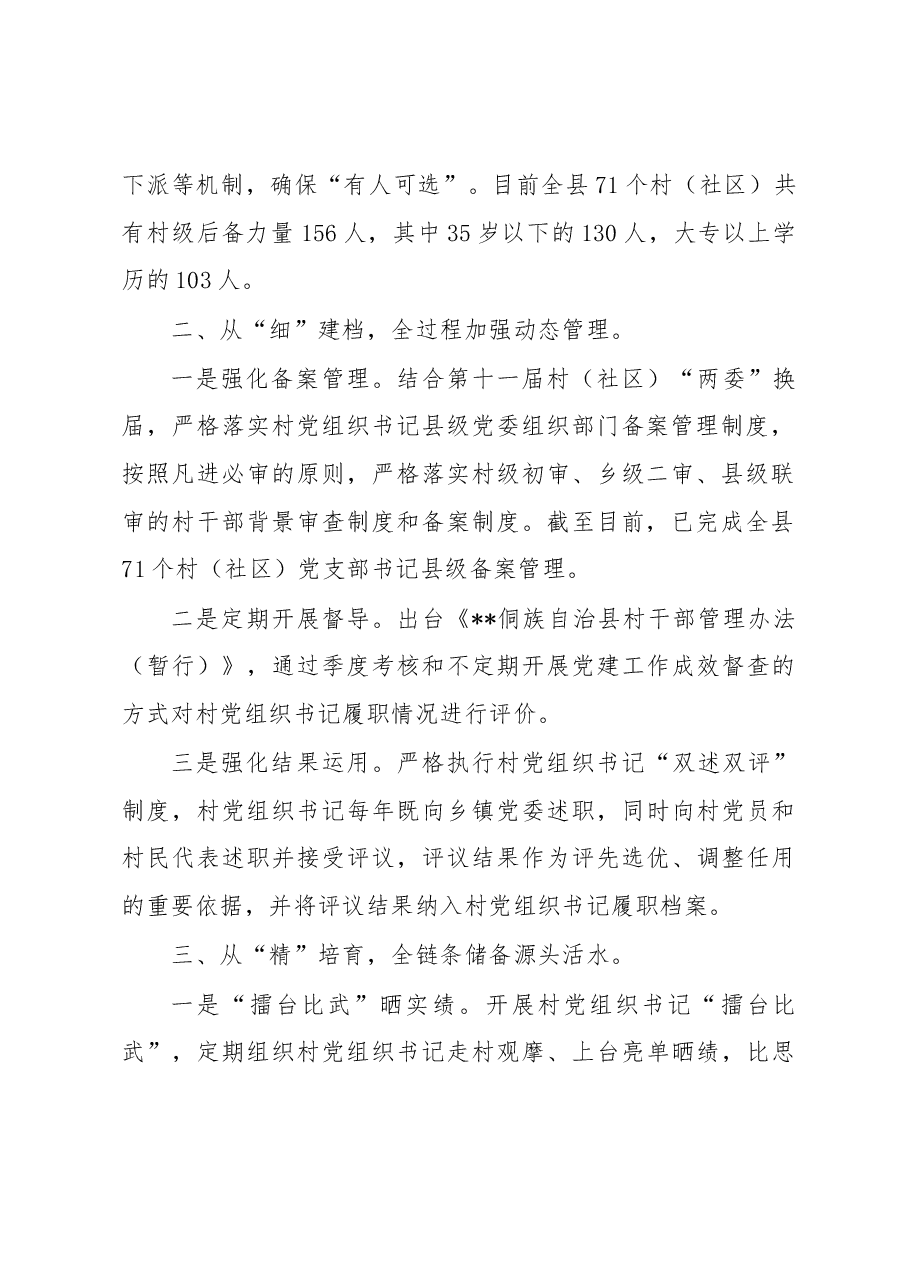 村级带头人队伍建设工作汇报.docx,第2页预览