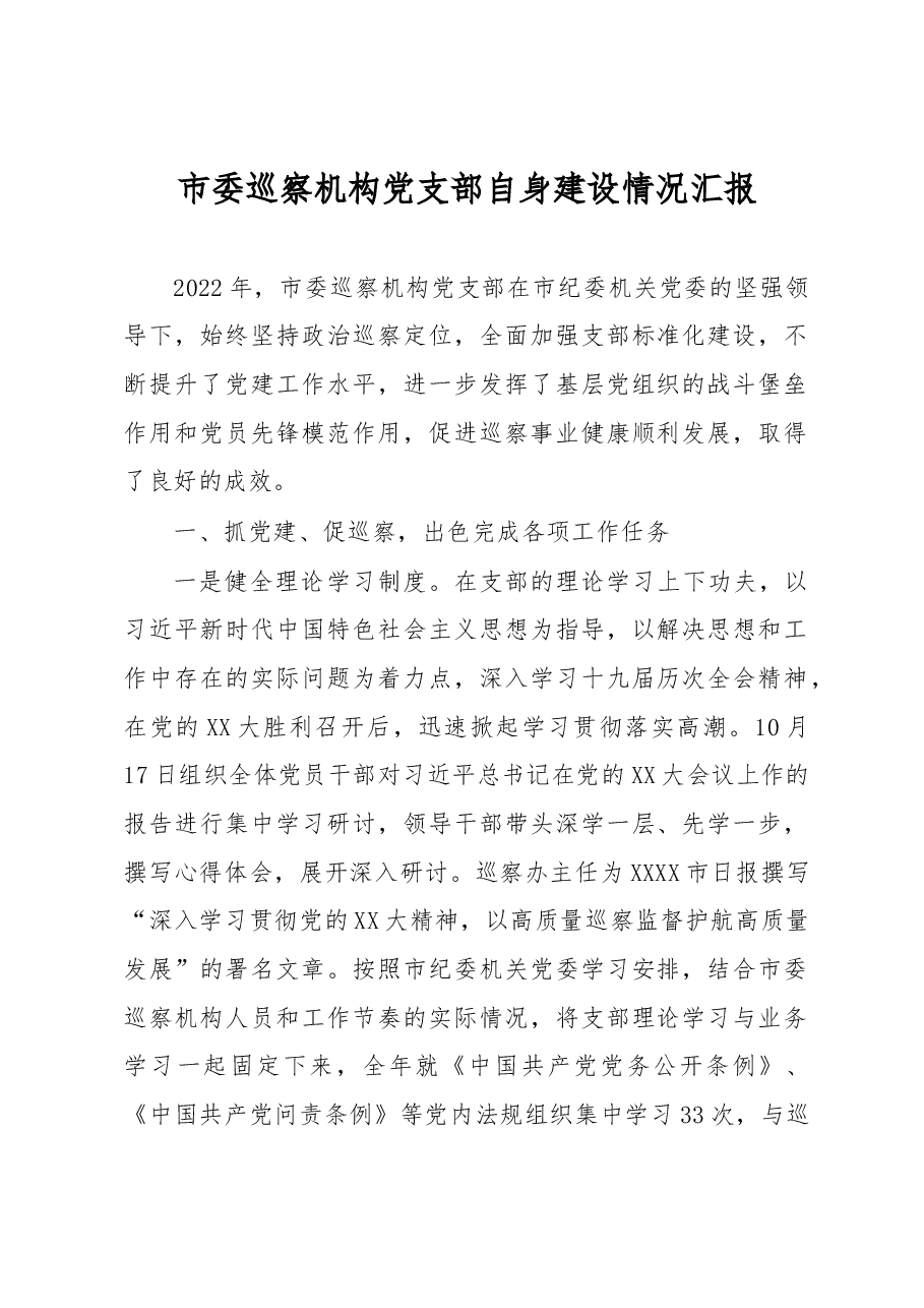 市委巡察机构党支部自身建设情况汇报.docx,第1页预览