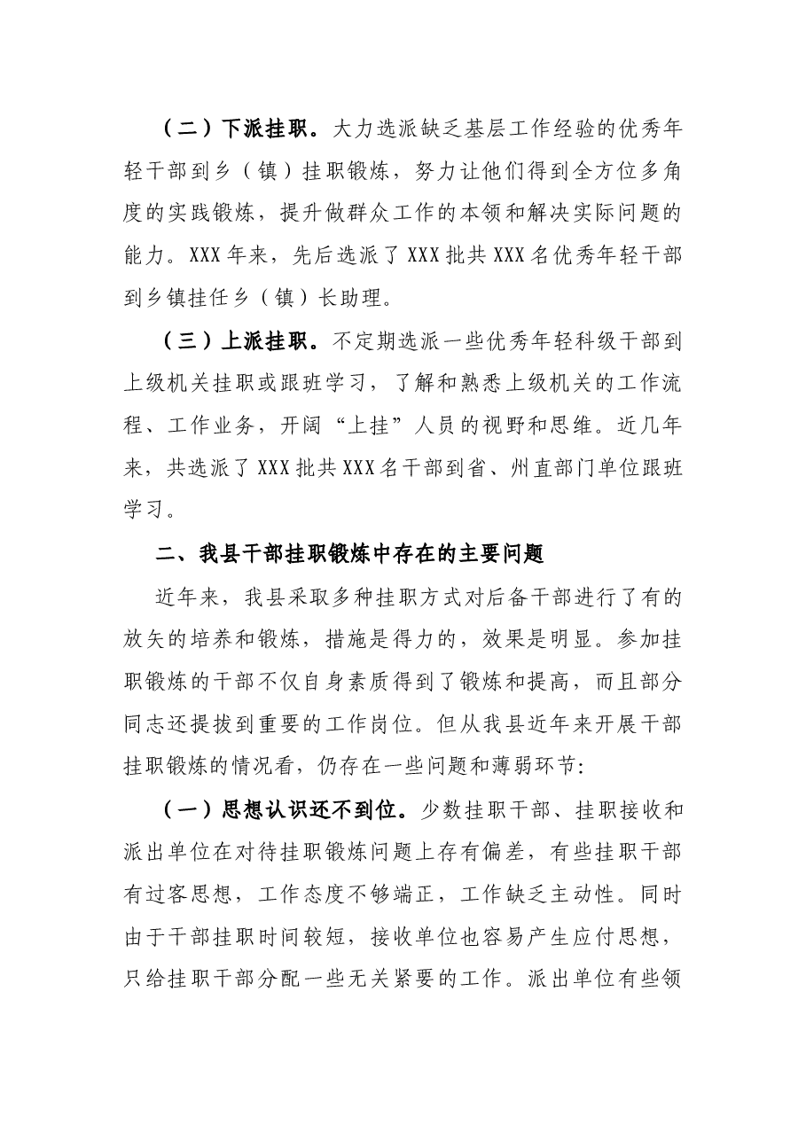 挂职干部工作调研报告.docx,第2页预览
