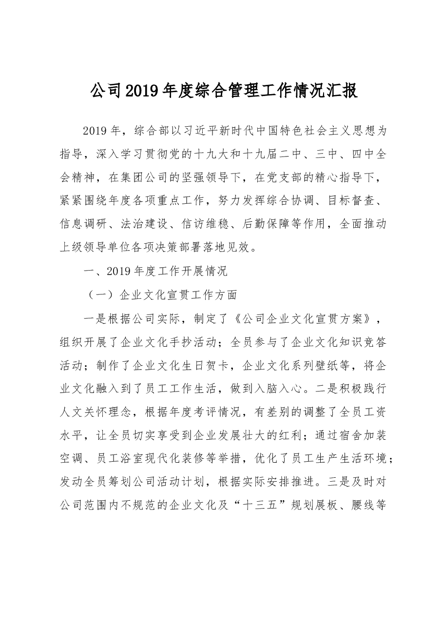 公司2019年度综合管理工作情况汇报.docx,第1页预览