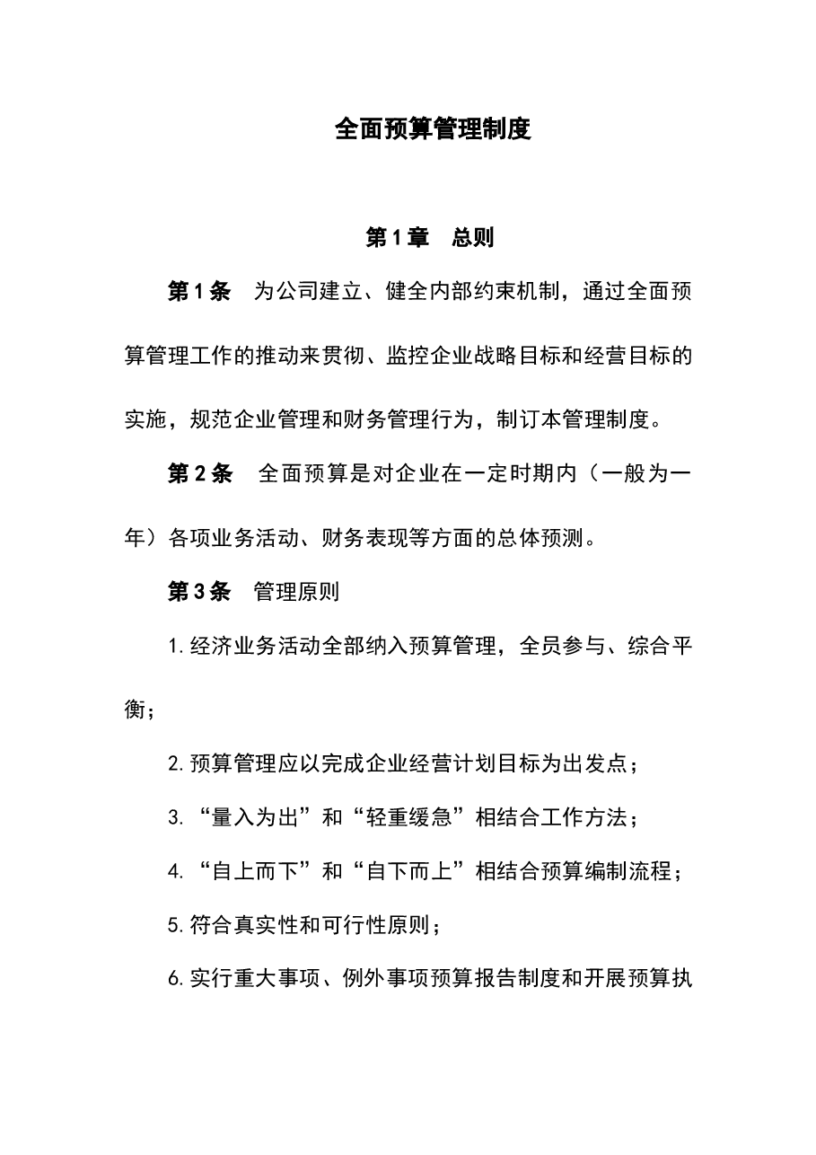 财税工具-全面预算管理制度(中小企业版).doc,第1页预览