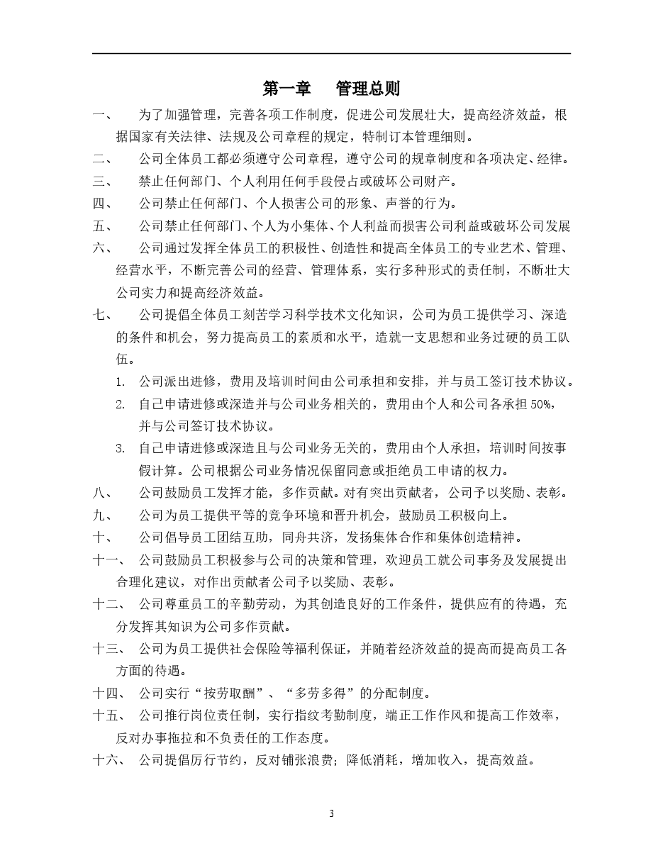 公司规章制度方案.doc,第3页预览
