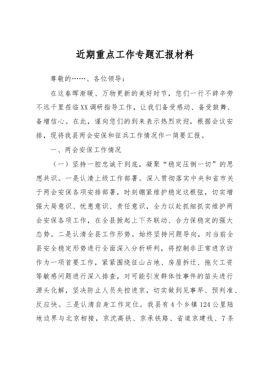 近期重点工作专题汇报材料.docx,第1页预览