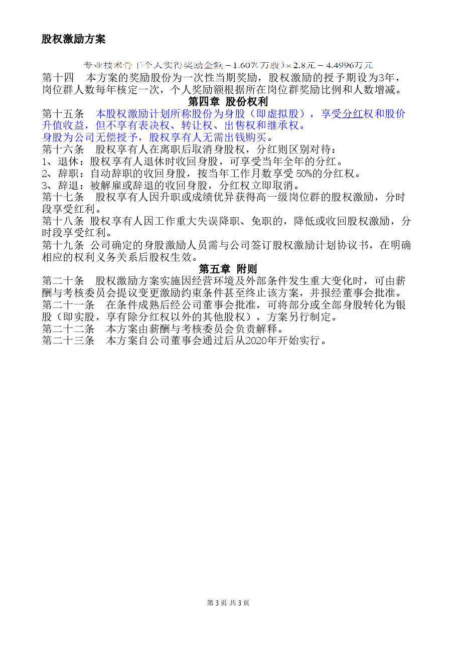 公司股权激励方案 完整版.doc,第3页预览