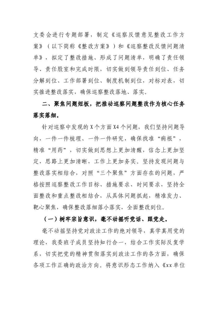 X县政法委巡察整改情况汇报.docx,第2页预览