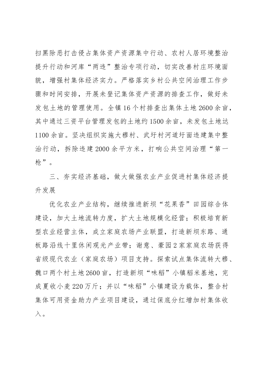 新坝镇落实乡村振兴重点项目工作汇报.docx,第3页预览