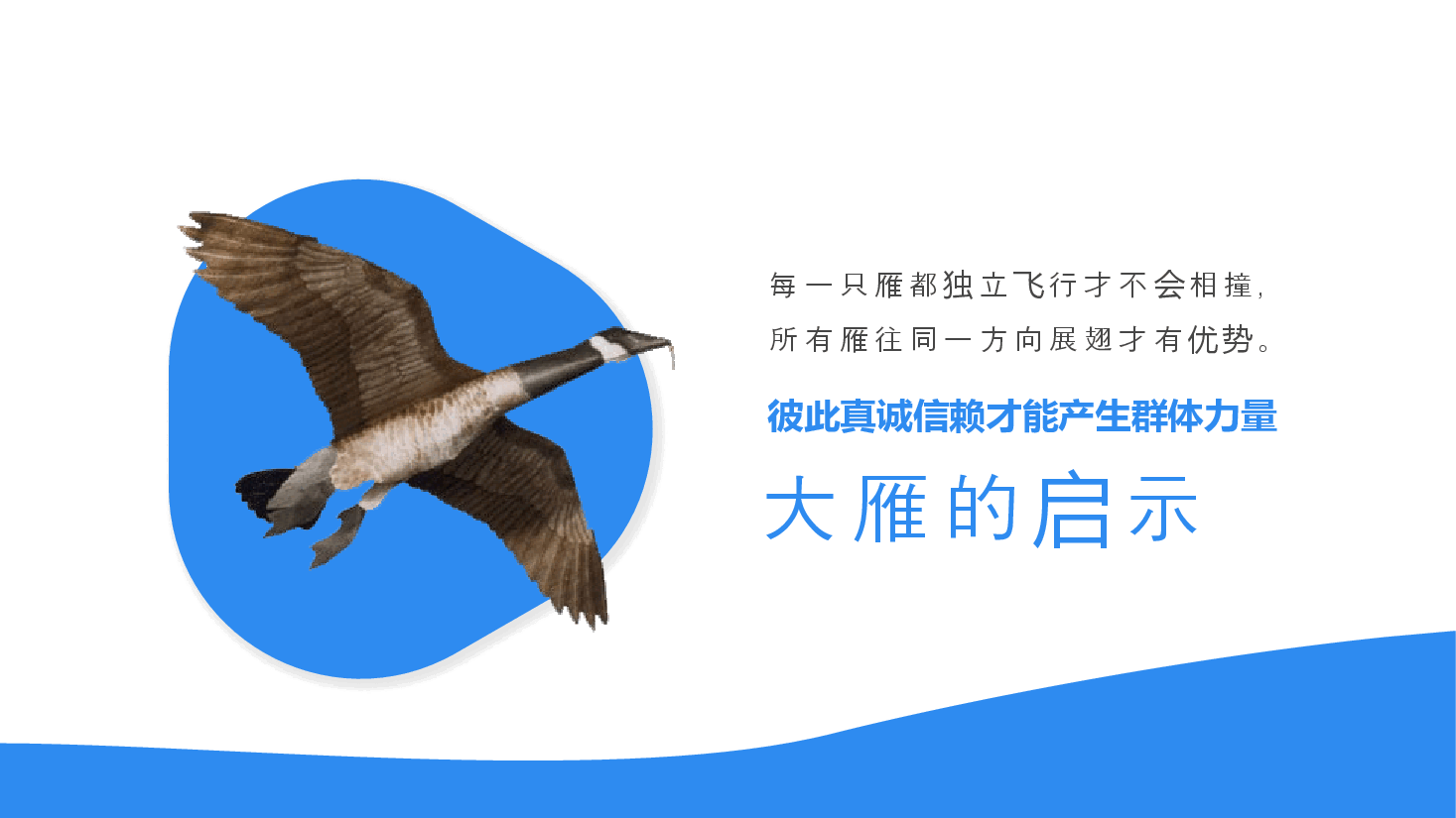 如何培养一个优秀的团队.pptx,第4页预览
