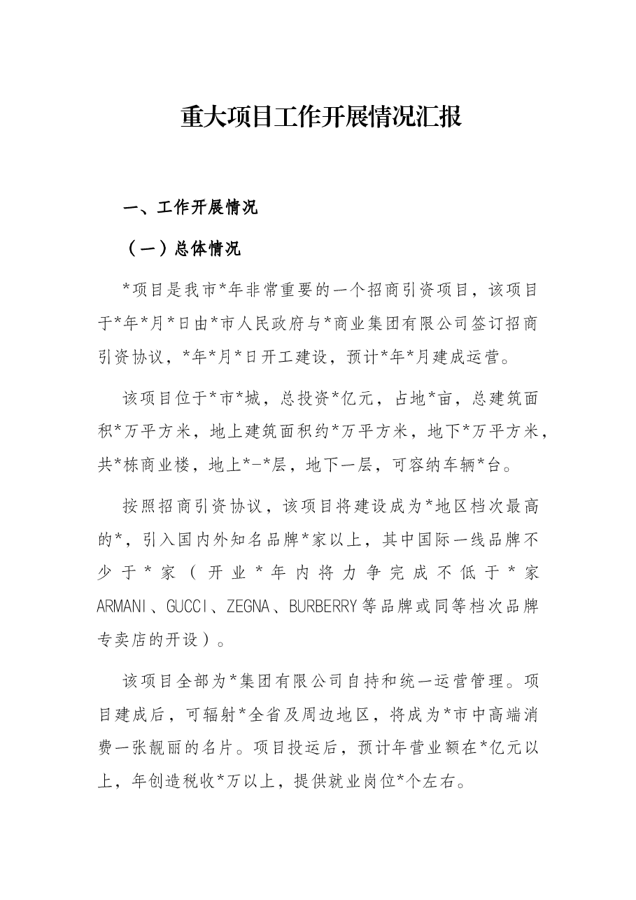 重大项目工作开展情况汇报.docx,第1页预览