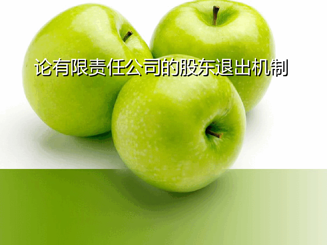 论有限责任公司的股东退出机制.ppt,第1页预览