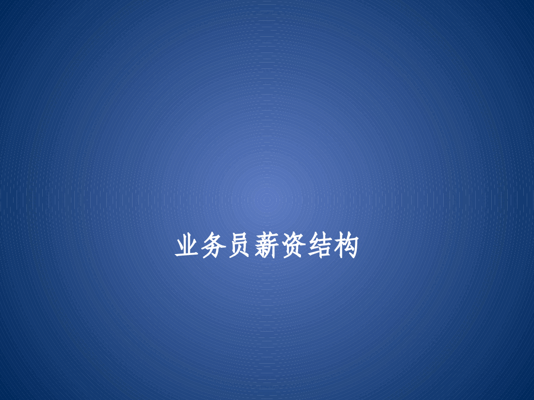 业务员薪资等级结构表.pptx,第1页预览