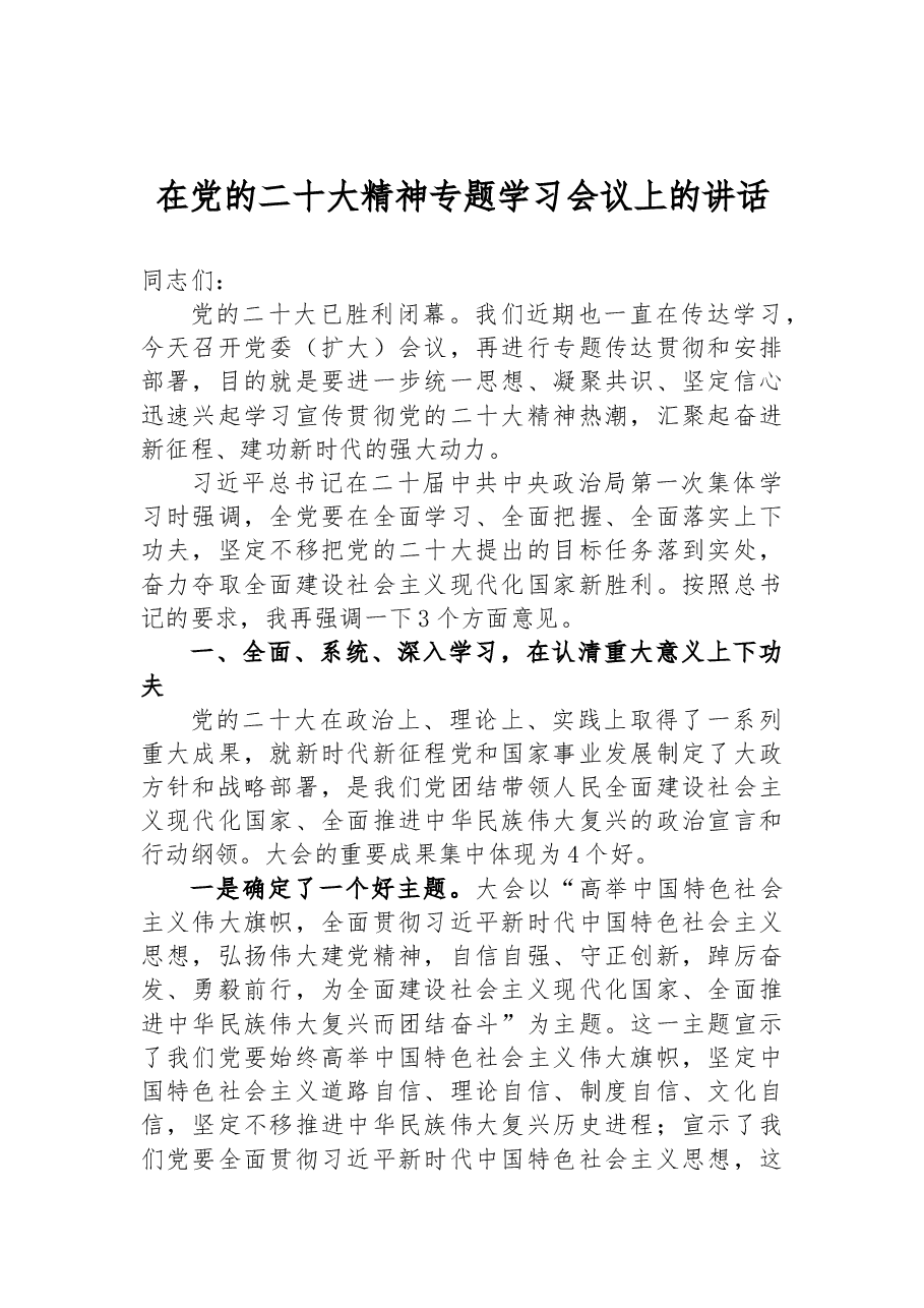 在党的二十大精神专题学习会议上的讲话.docx,第1页预览