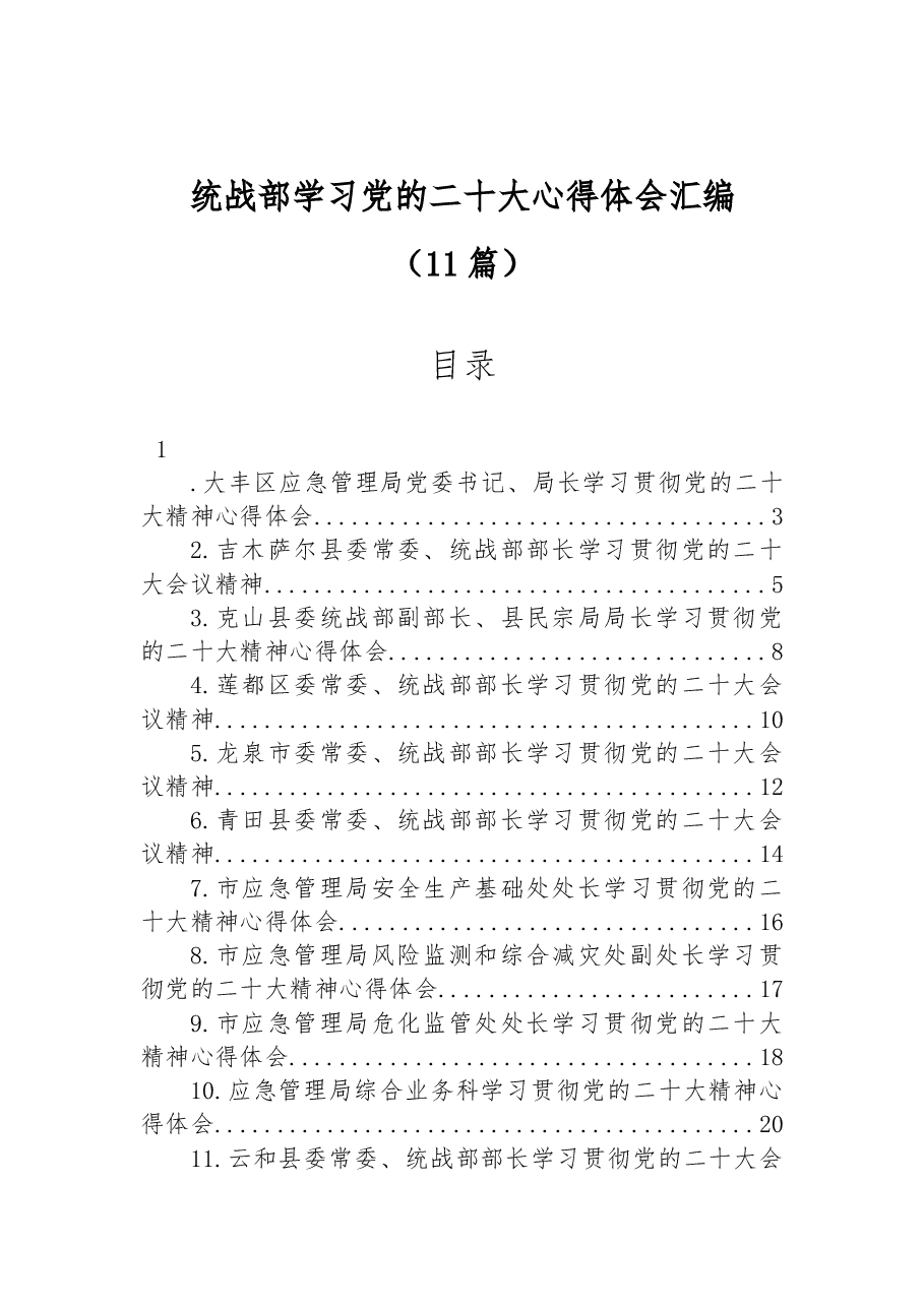 (11篇)统战部学习党的二十大心得体会汇编.docx,第1页预览