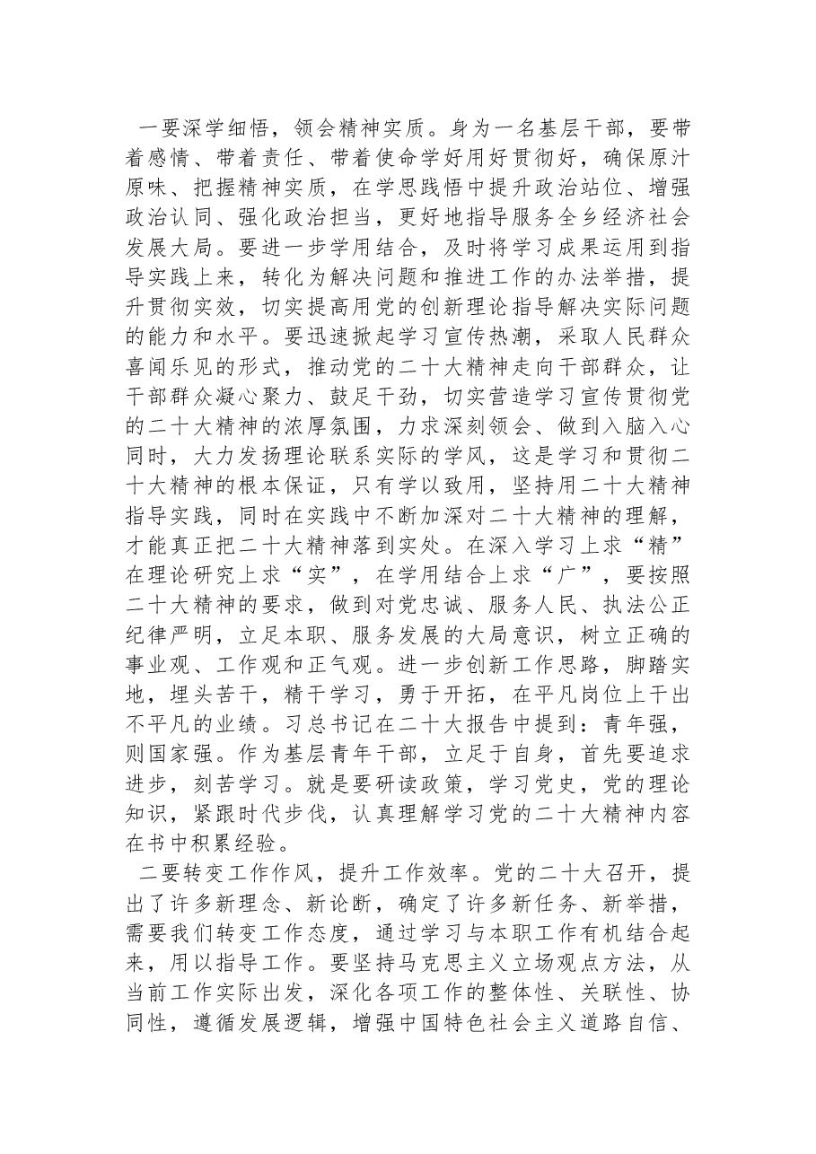 基层党员干部对党的二十大报告学习心得体会.docx,第3页预览