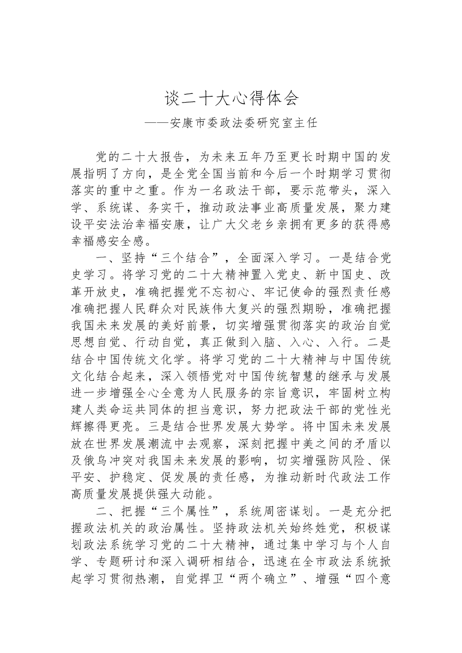 (22篇)政法委学习党的二十大心得体会汇编.docx,第3页预览