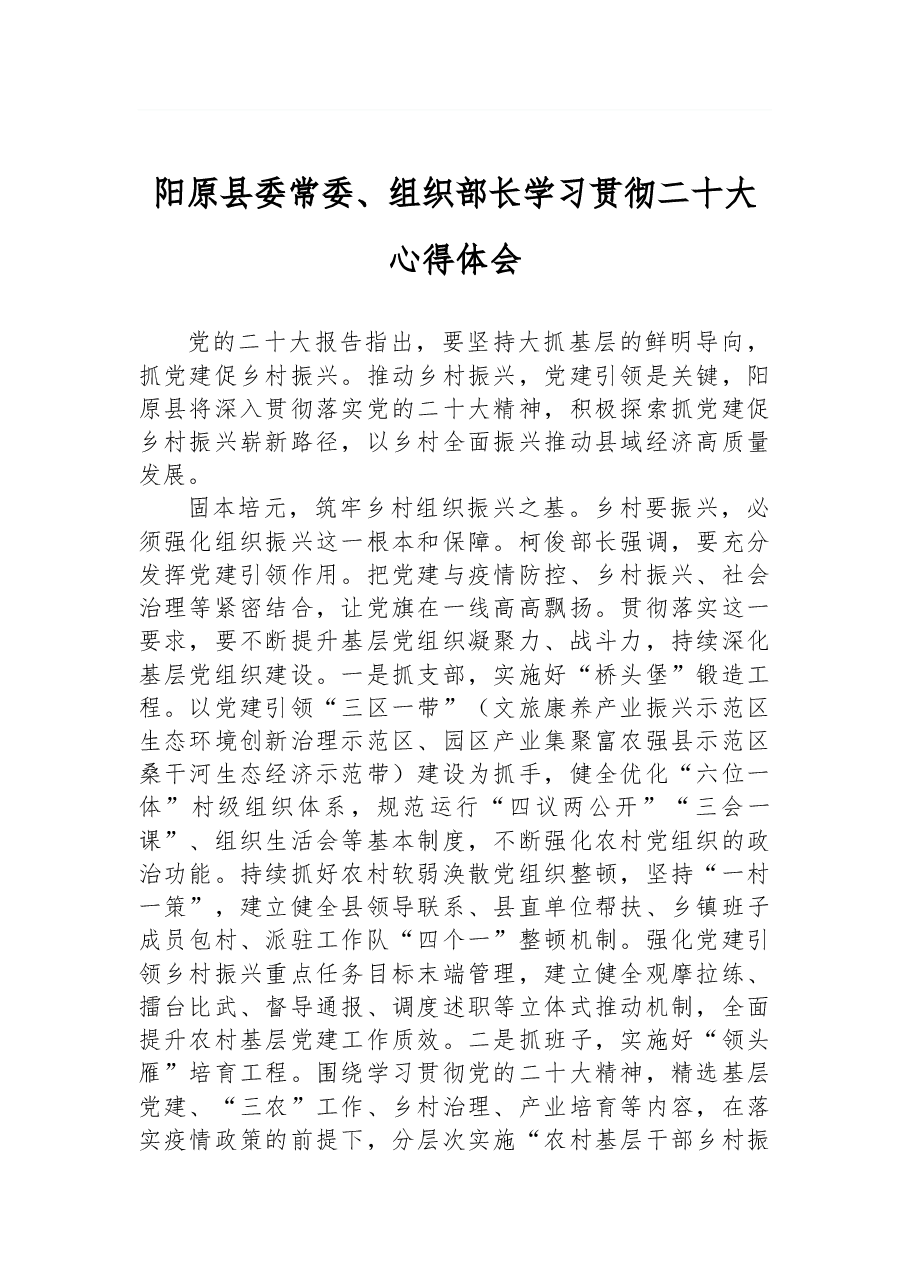 阳原县委常委、组织部长学习贯彻二十大心得体会.docx,第1页预览