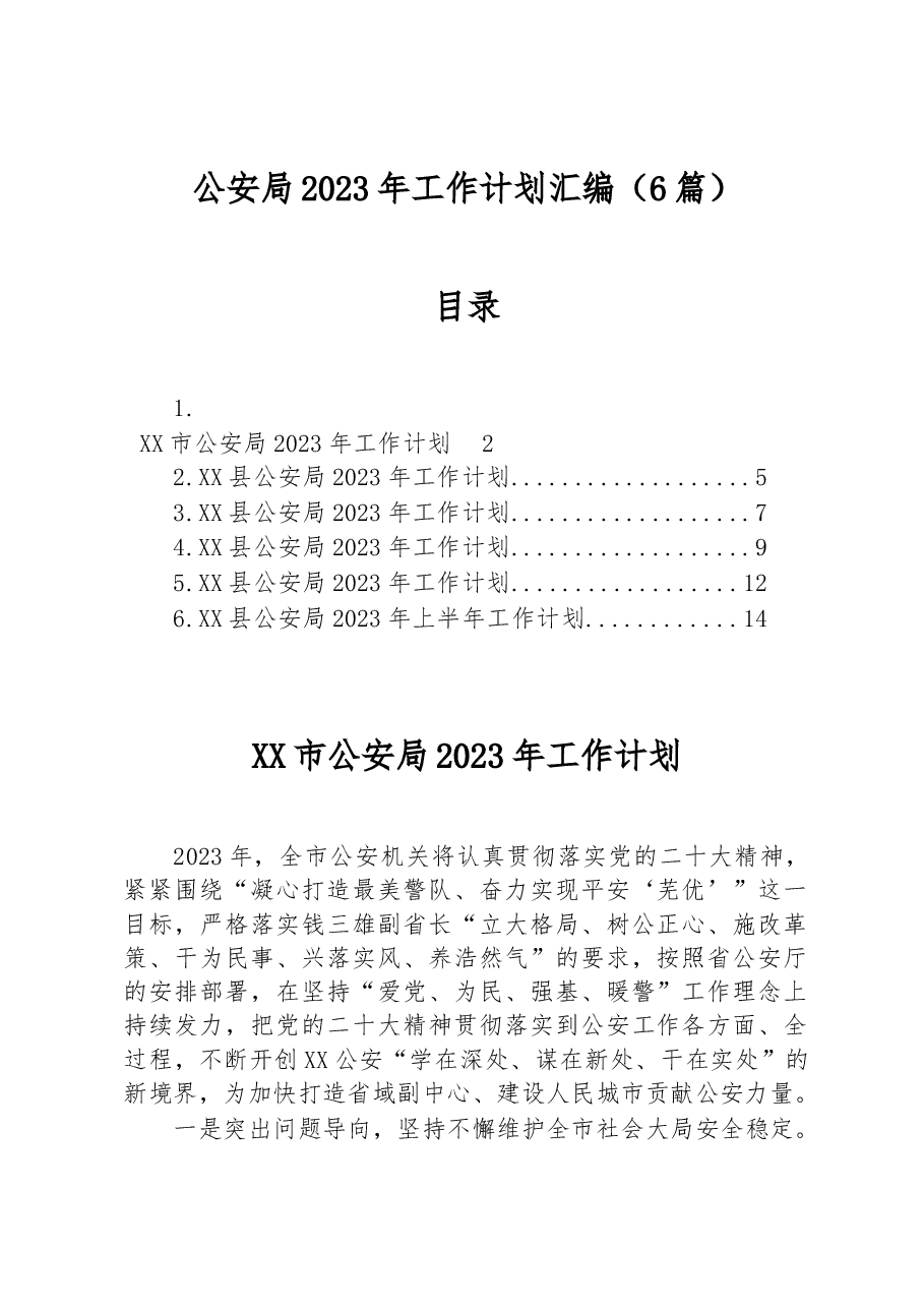 (6篇)公安局2023年工作计划汇编.docx,第1页预览