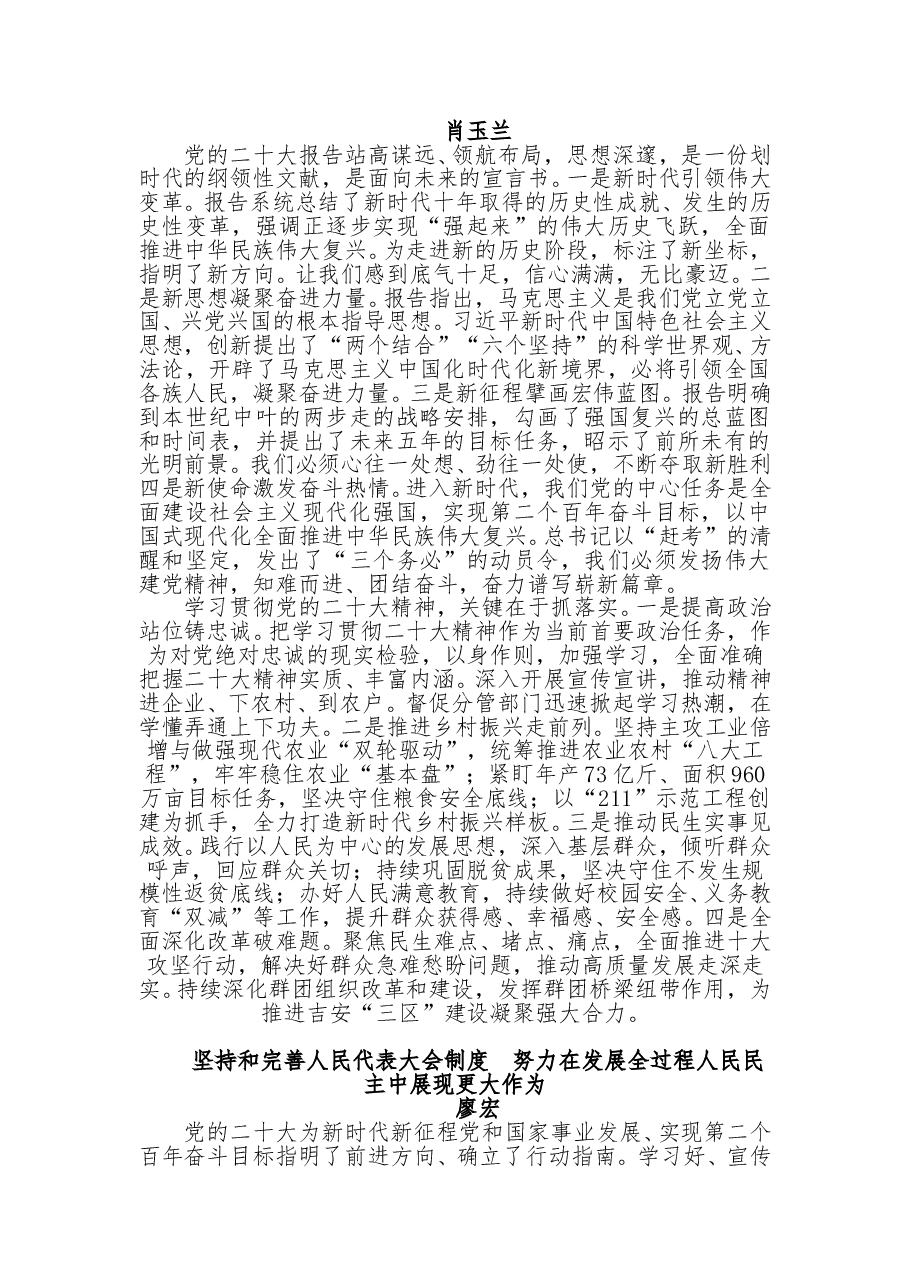 (14篇)市委理论学习中心组学习党的二十大精神发言摘登.doc,第4页预览