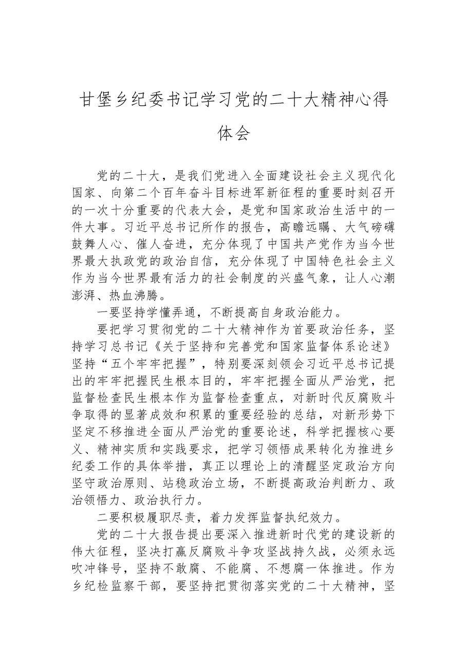 (5篇)乡纪委书记学习党的二十大精神心得体会汇编.docx,第2页预览