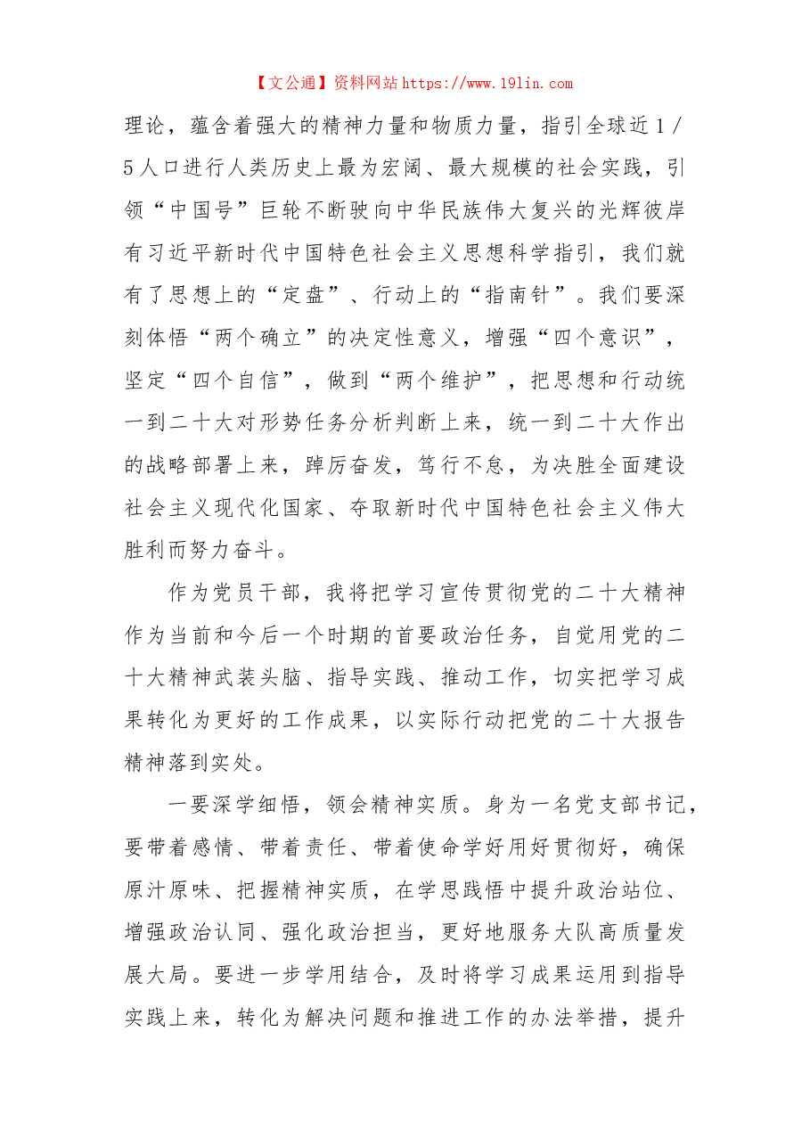 党支部书记学习党的二十大报告精神交流座谈会发言.docx,第3页预览
