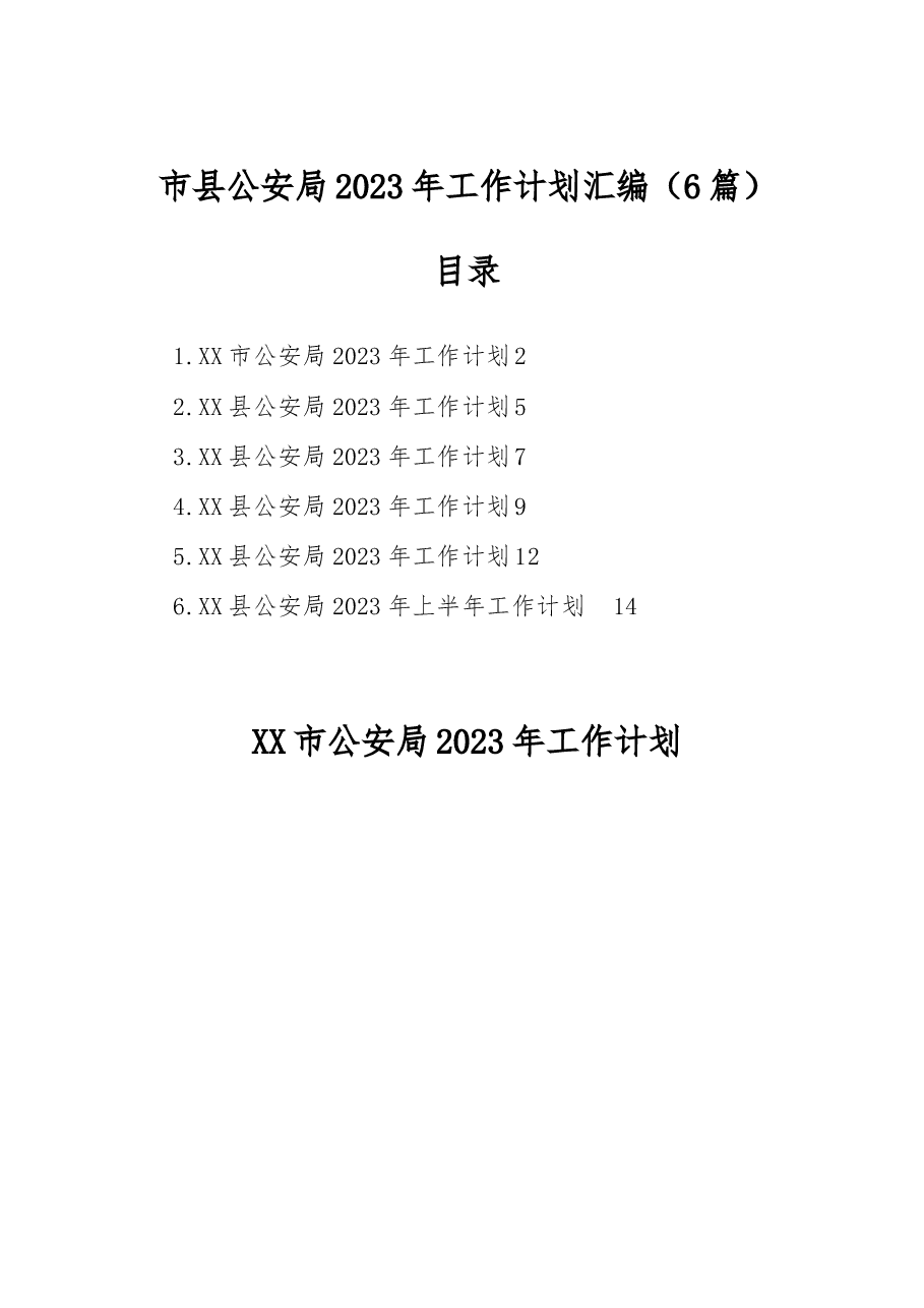 (6篇)市县公安局2023年工作计划汇编.docx,第1页预览