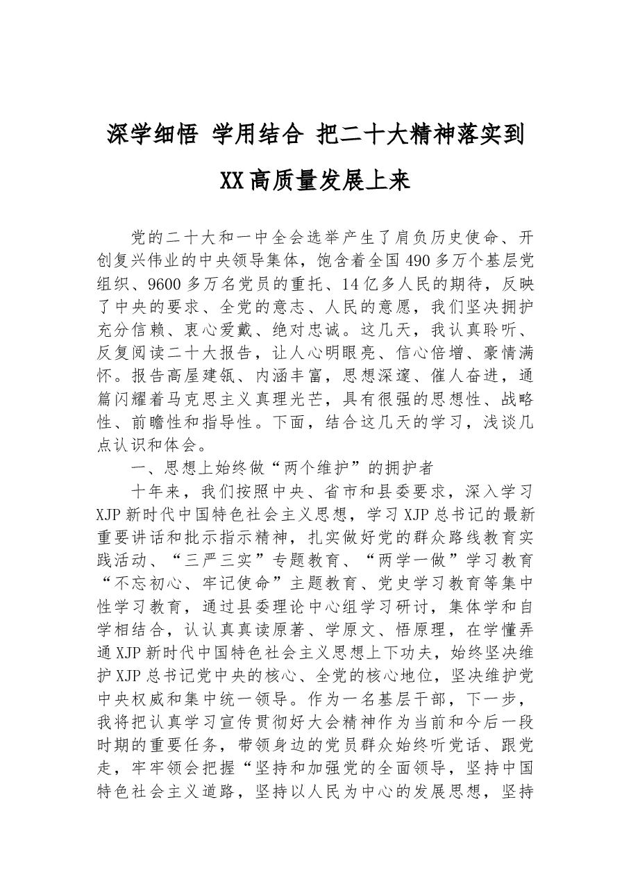 党课:深学细悟+学用结合+把二十大精神落实到XX高质量发展上来.docx,第1页预览