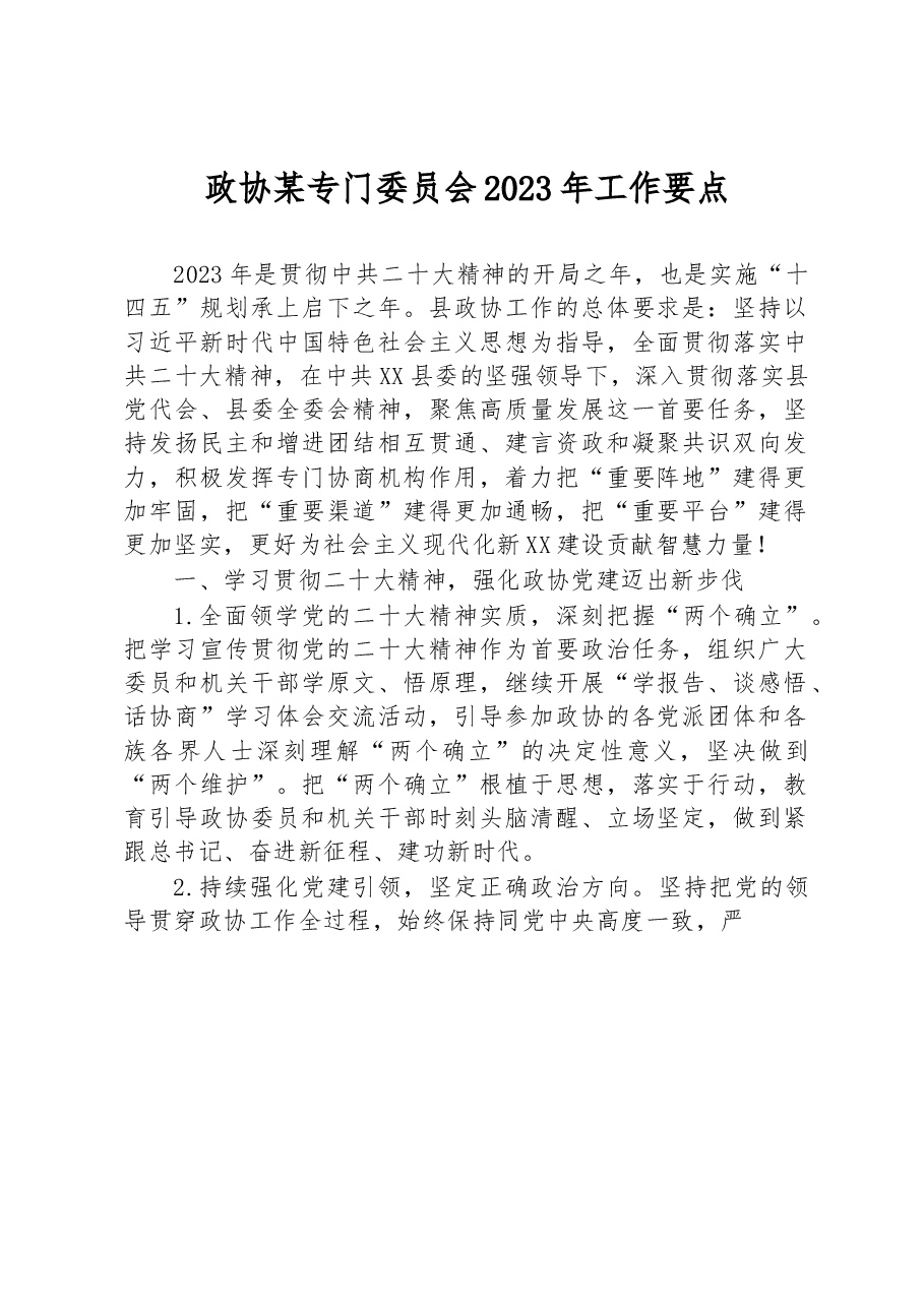 政协某专门委员会2023年工作要点.docx,第1页预览