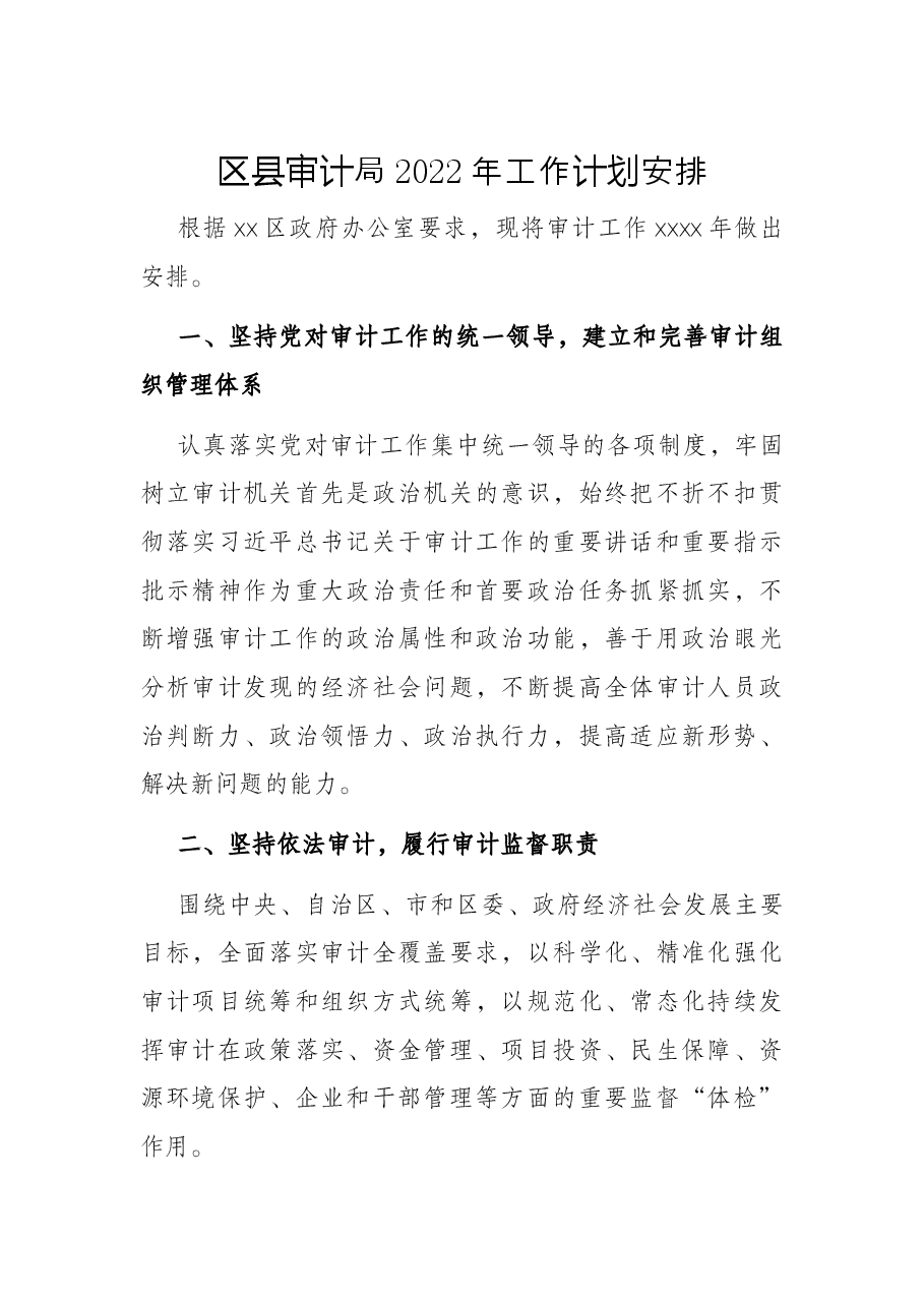 区县审计局2022年工作计划安排.docx,第1页预览