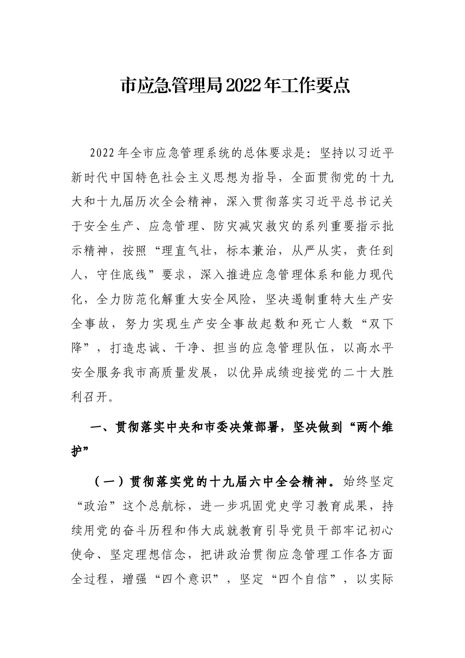市应急管理局2022年工作要点.docx,第1页预览