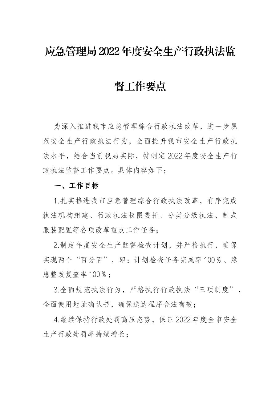 应急管理局2022年度安全生产行政执法监督工作要点.docx,第1页预览
