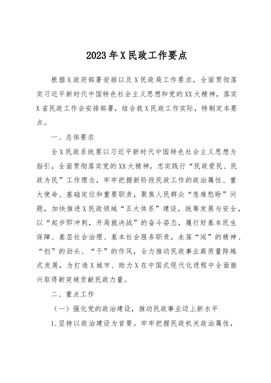 2023年X民政工作要点.docx,第1页预览
