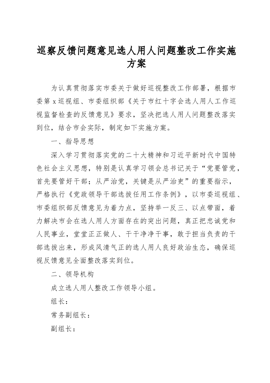 巡察反馈问题意见选人用人问题整改工作实施方案.docx,第1页预览