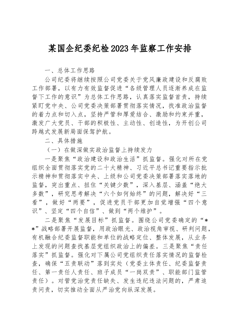 某国企纪委纪检2023年监察工作安排.docx,第1页预览