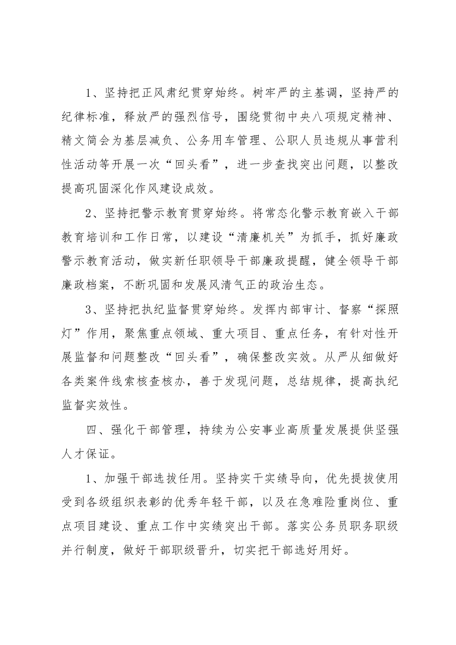 市公安局2023年党委工作要点.docx,第3页预览