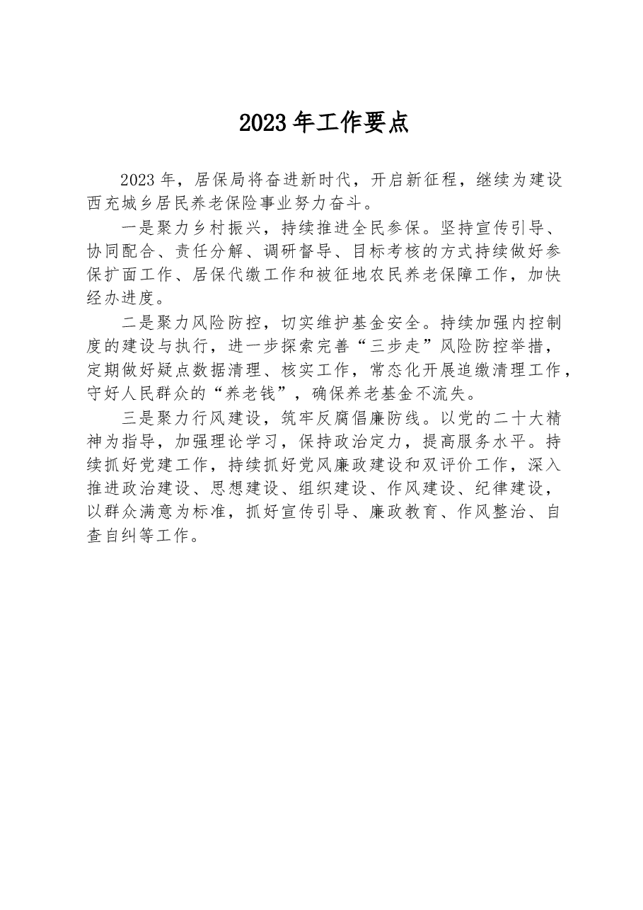 2023年工作要点.docx,第1页预览