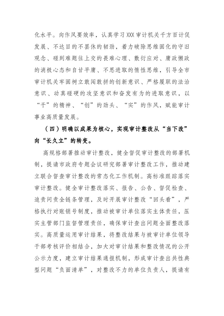 市审计局2022年工作要点.docx，第4页预览