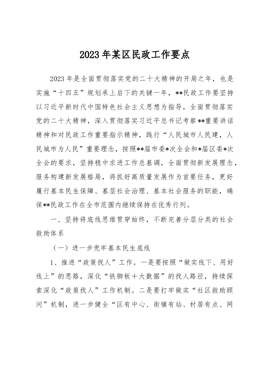 2023年某区民政工作要点.docx,第1页预览