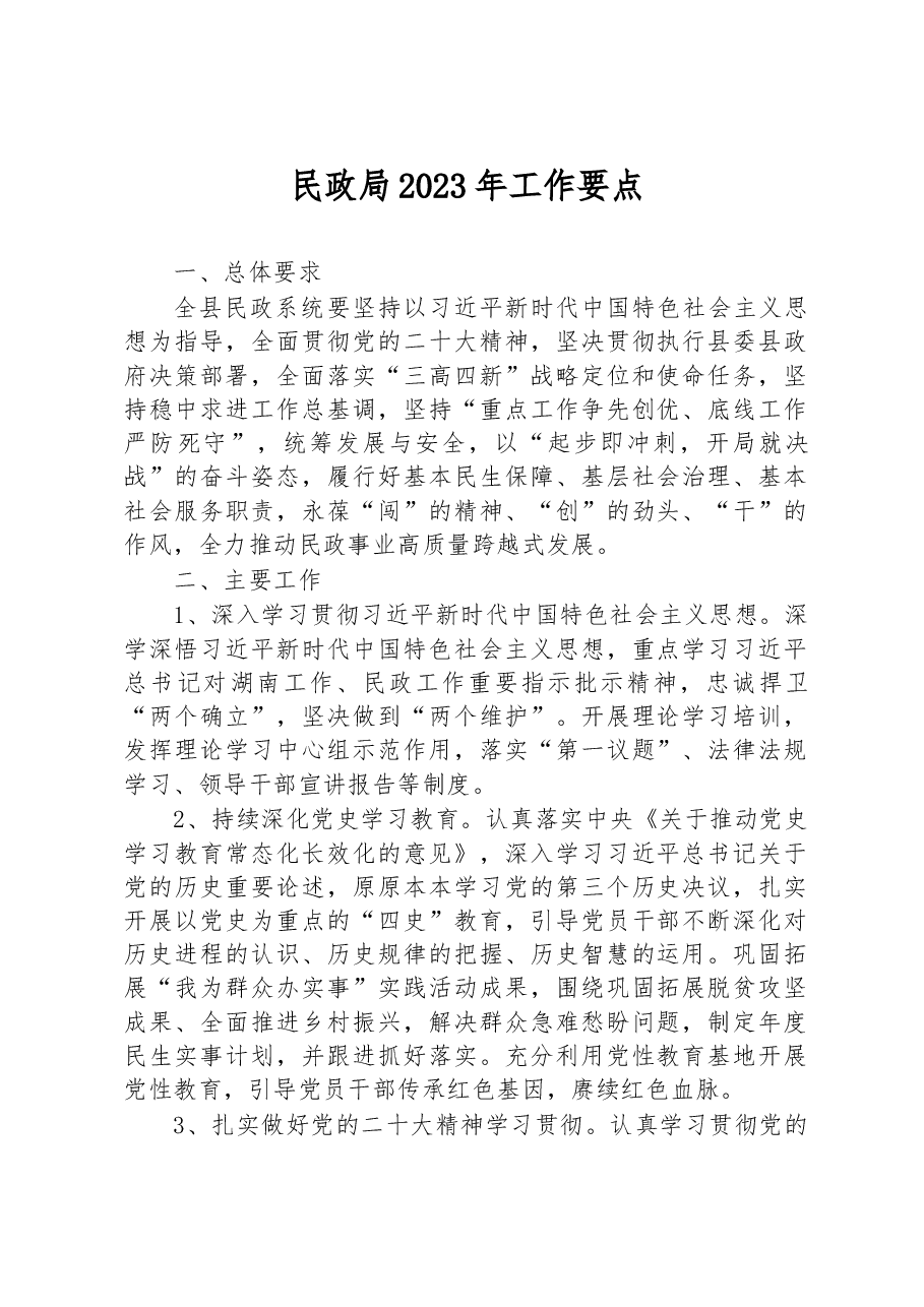 民政局2023年工作要点.docx,第1页预览
