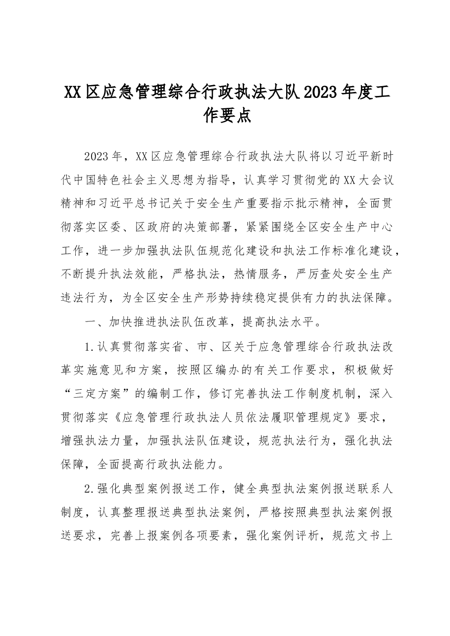 XX区应急管理综合行政执法大队2023年度工作要点.docx,第1页预览