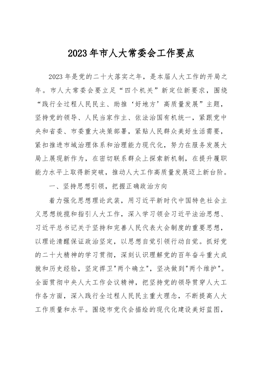 2023年市人大常委会工作要点.docx,第1页预览