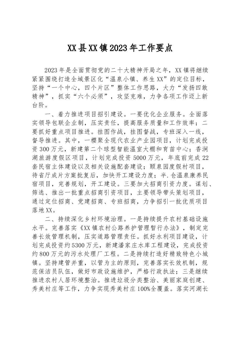 XX县XX镇2023年工作要点.docx,第1页预览