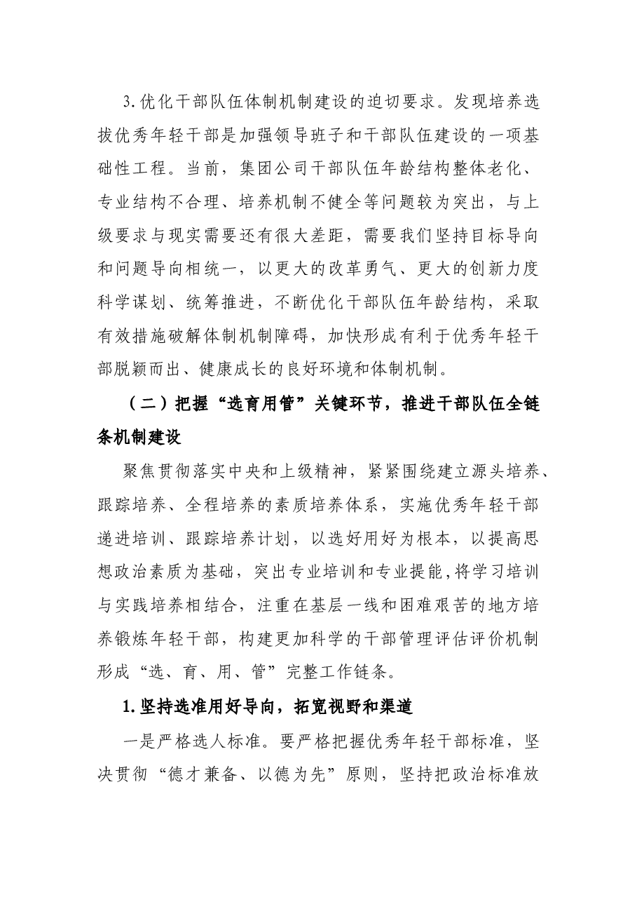 X集团公司《关于适应新时代要求大力发现培养选拔优秀年轻干部的中期规划》的方案.docx,第4页预览