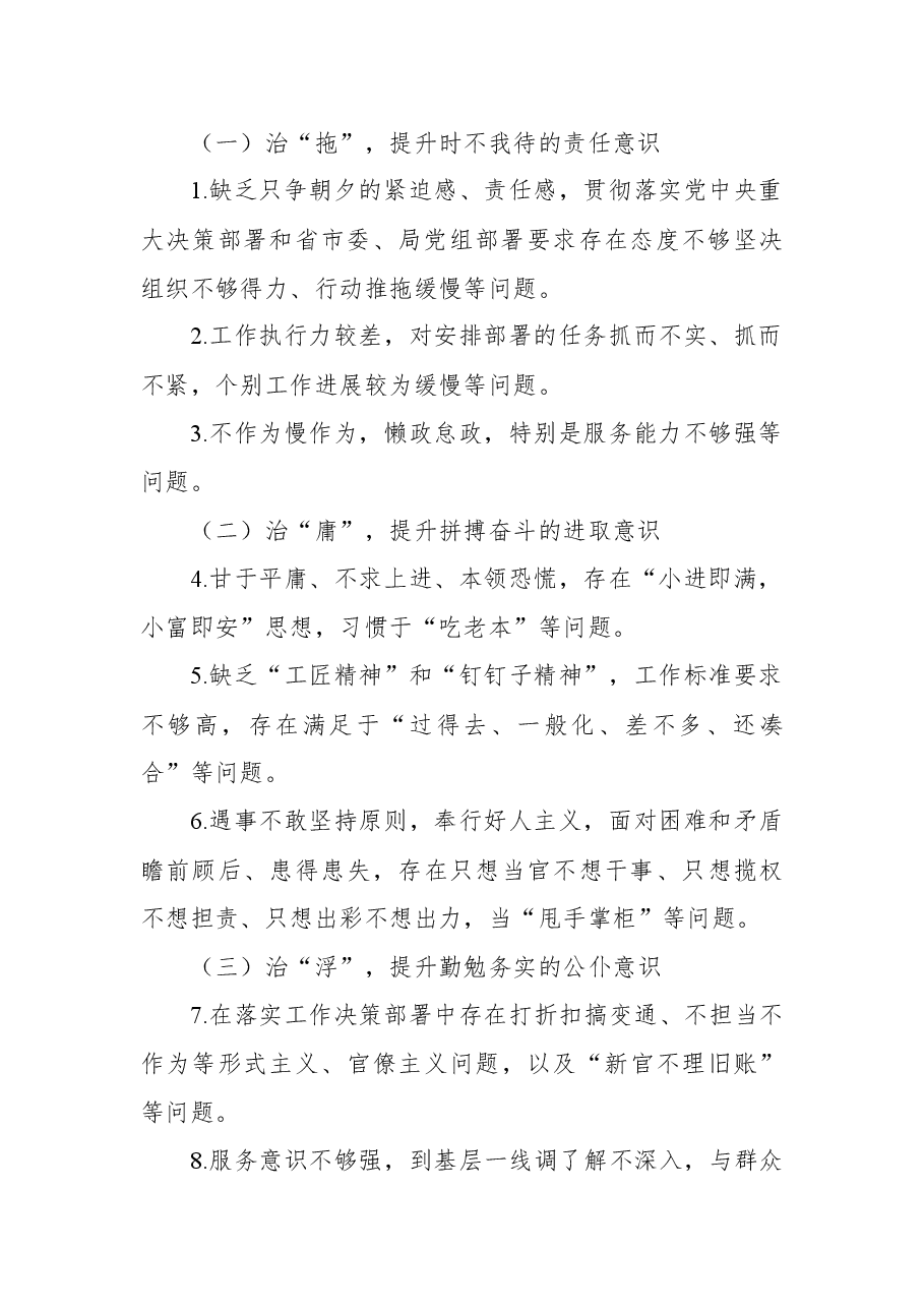 干部队伍作风纪律整顿工作方案.docx,第2页预览