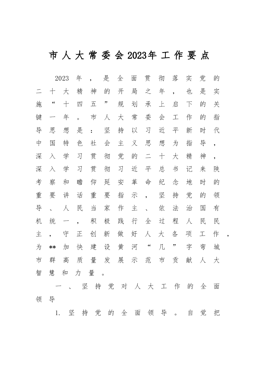 市人大常委会2023年工作要点.docx,第1页预览