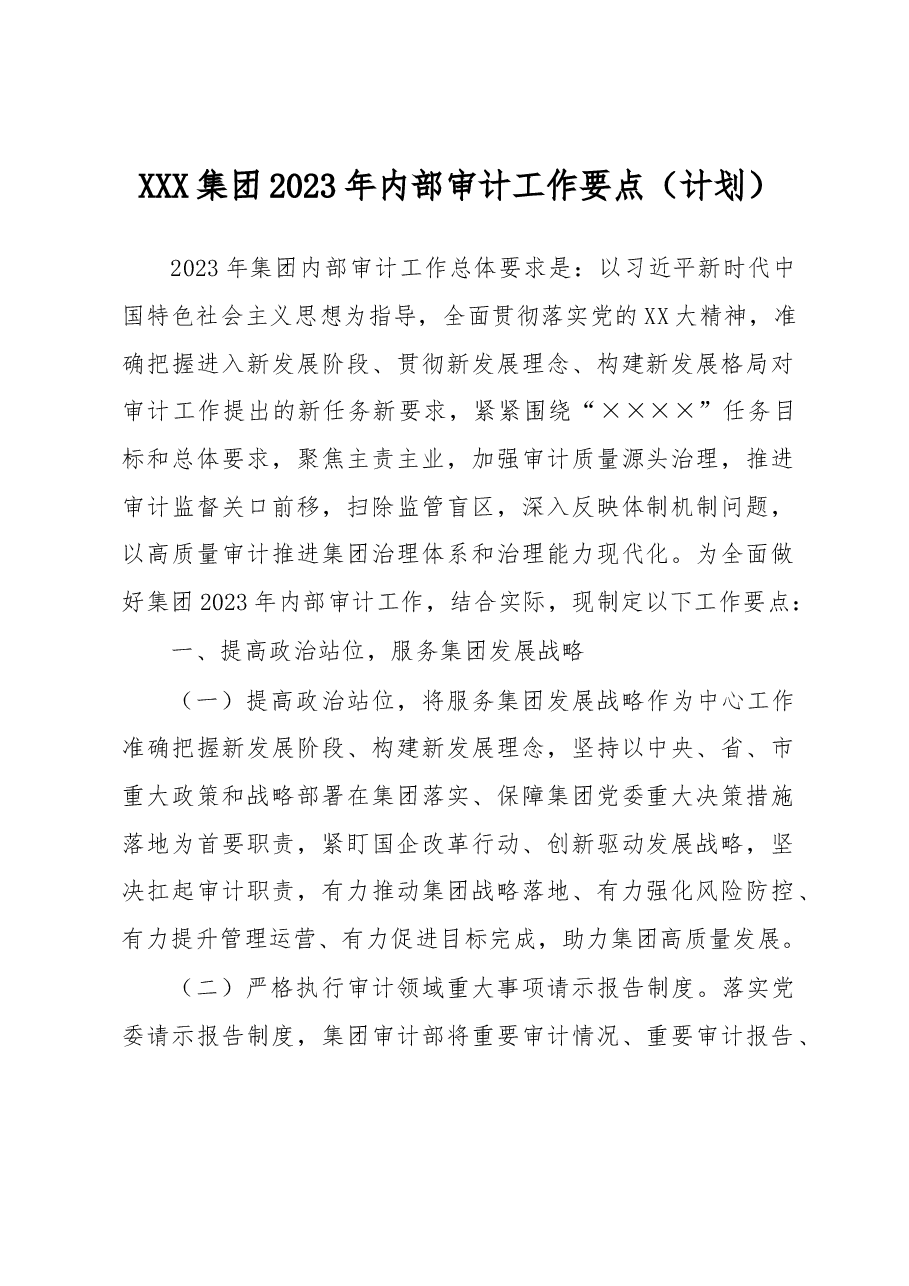 XXX集团2023年内部审计工作要点.docx,第1页预览