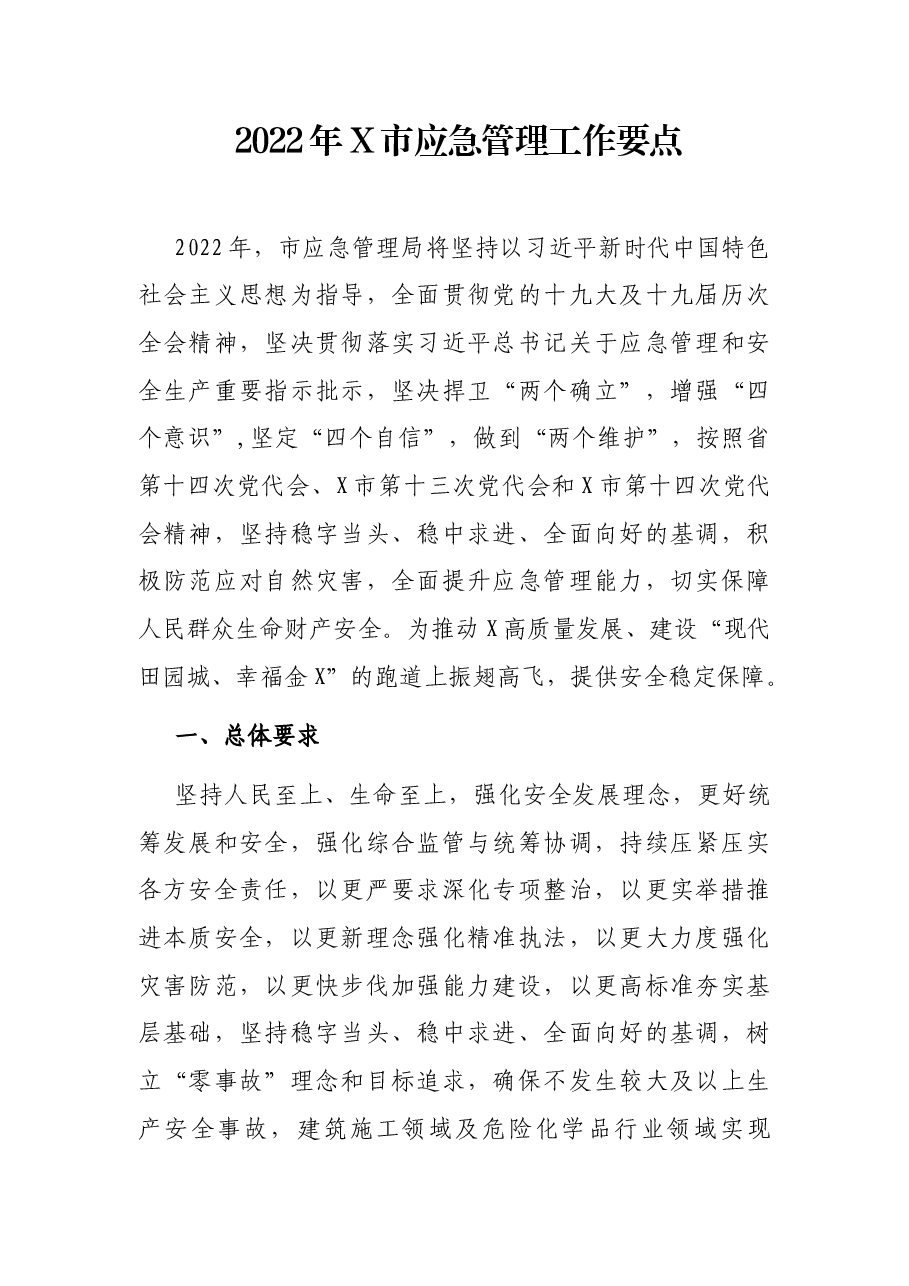 2022年X市应急管理工作要点.docx,第1页预览